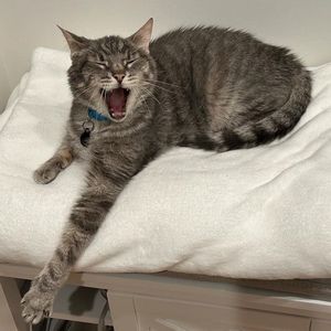 Meet your Posher, Beth